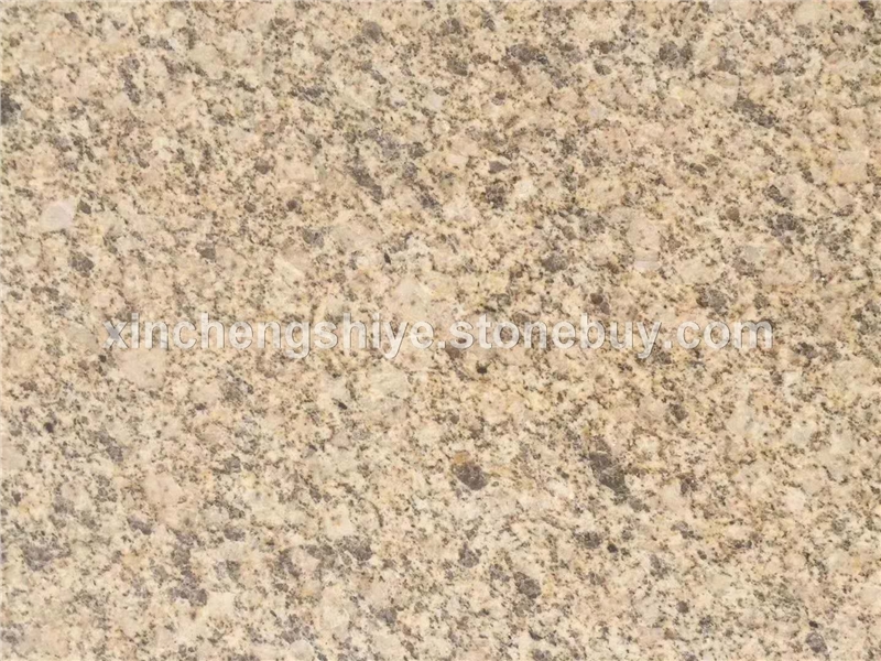 黄金麻荔枝面