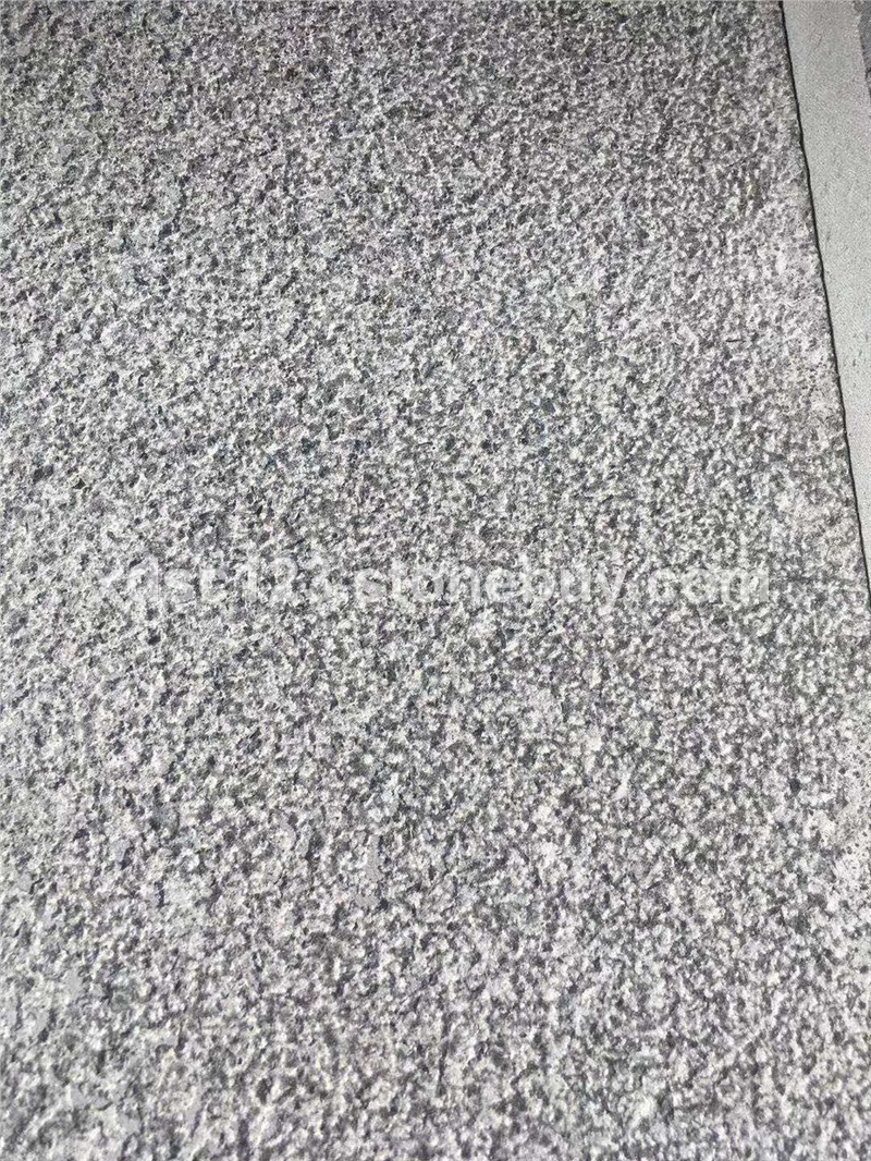 中国黑荔枝面