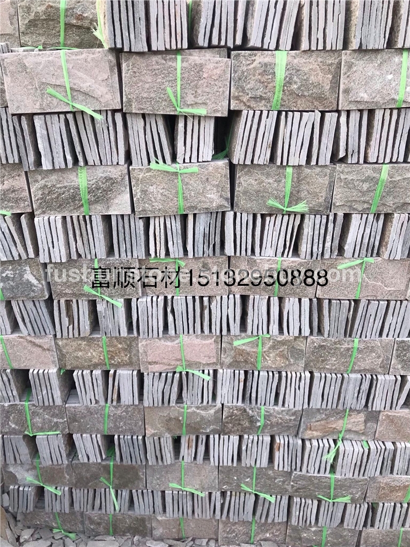 板岩：灰石英文化石