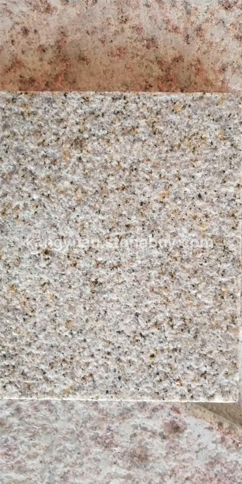 山东锈石荔枝面