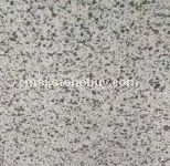 芝麻白g623