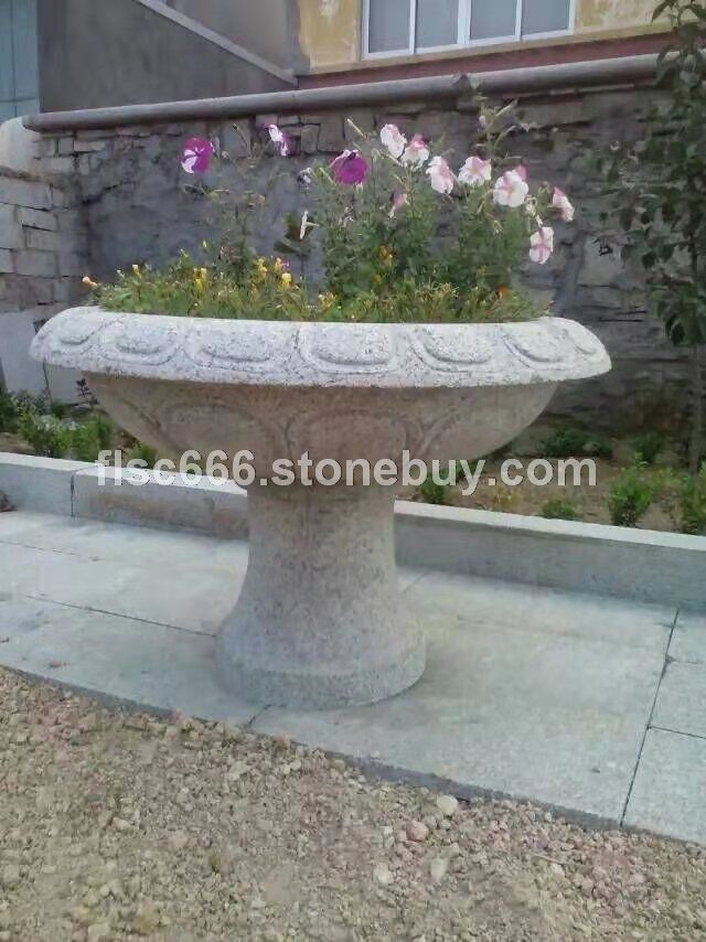 五莲红 花盆