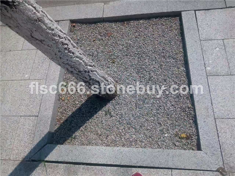 五莲花 树围石