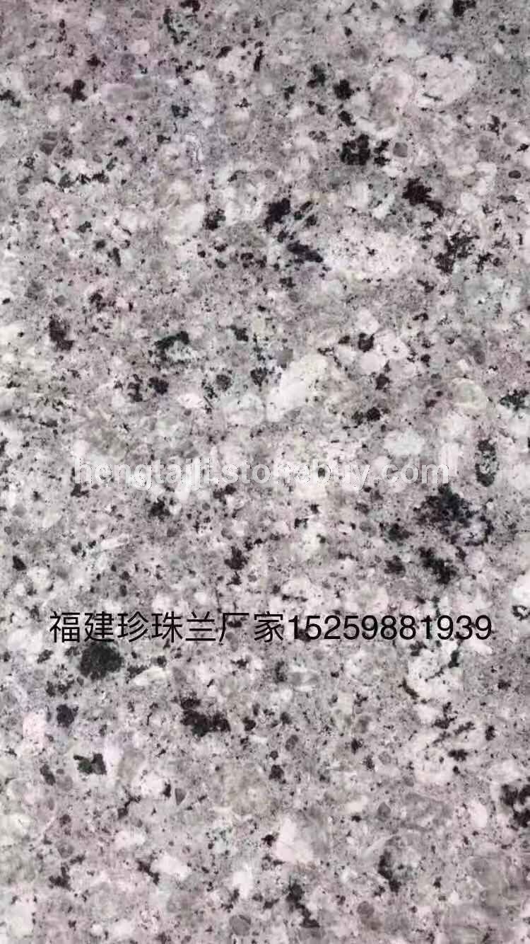 珍珠兰光面