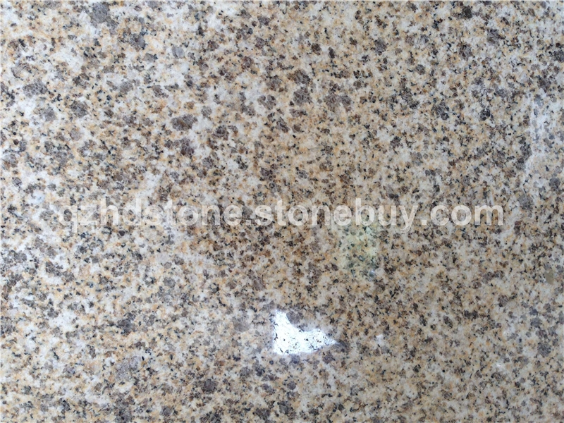 黄金麻大黄光面