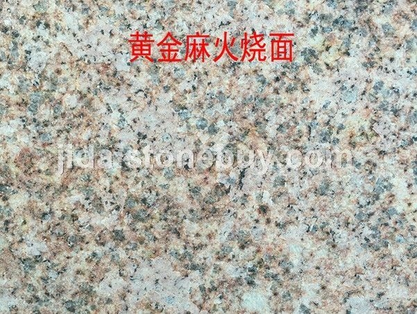 黄金麻火烧大黄