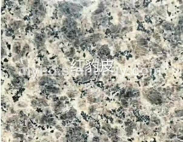 红豹皮花