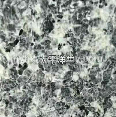 太平洋蓝（太平洋兰）