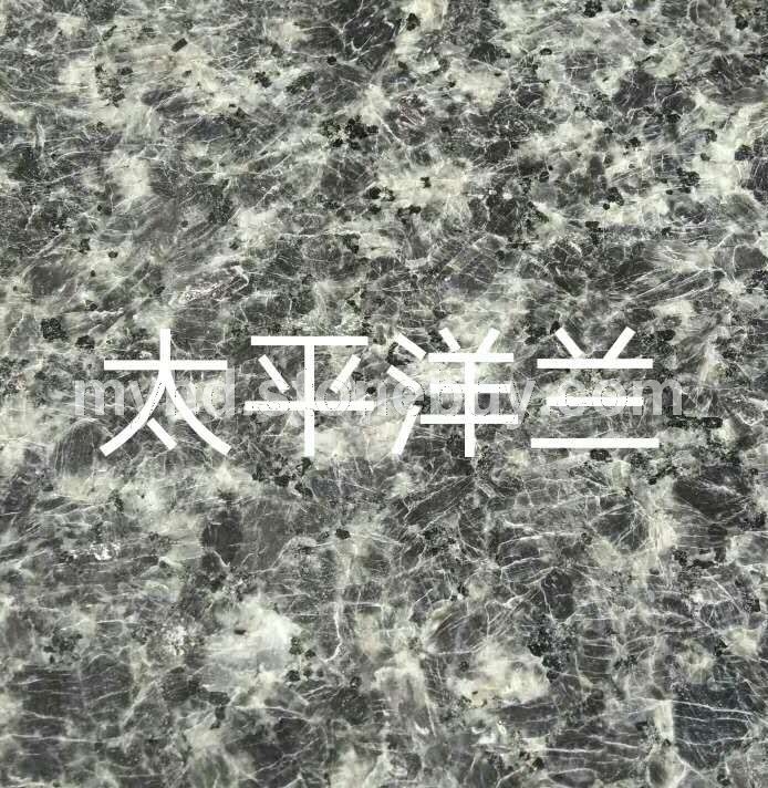 太平洋蓝（太平洋兰）