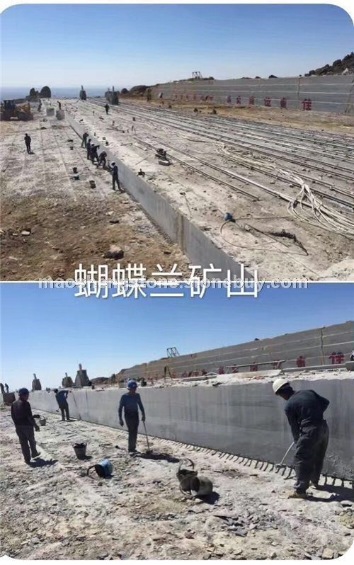 蝴蝶兰、异形加工
