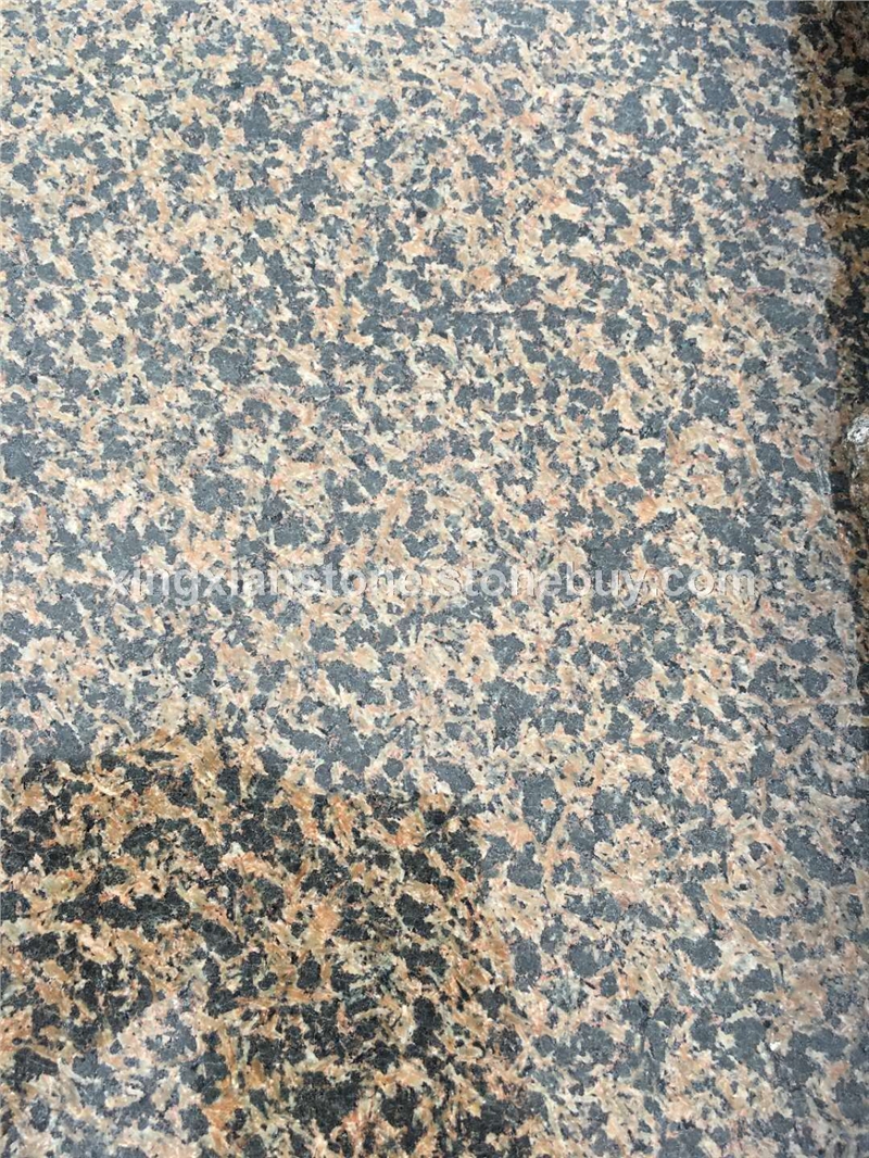 兴县红古典棕光面