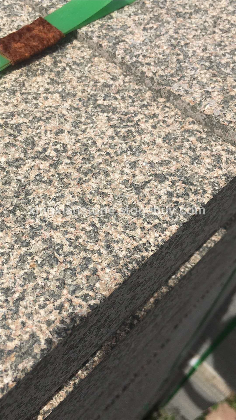 兴县红古典棕荔枝面