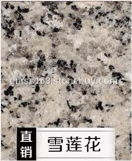 直销雪莲花