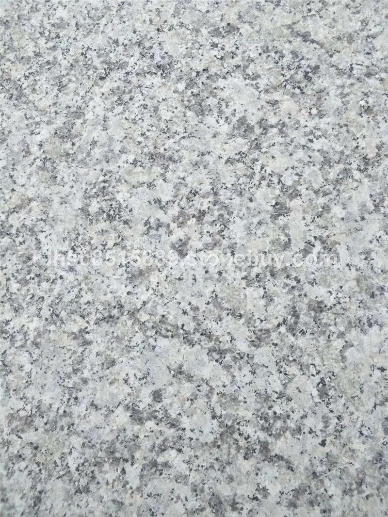 芝麻白广西芝麻白