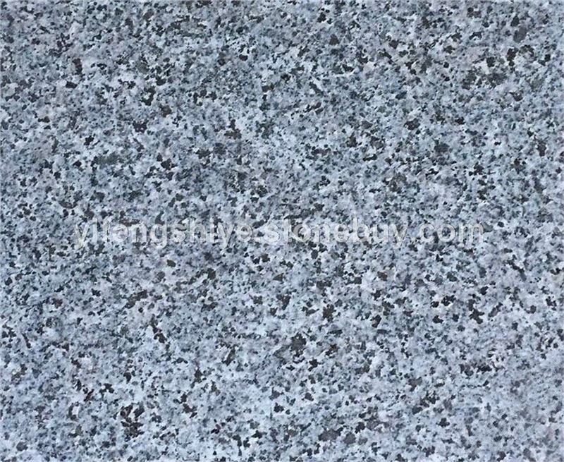 海金刚