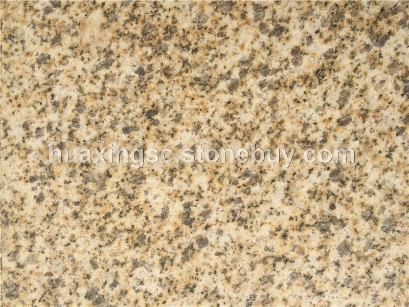 黄金麻大黄光面