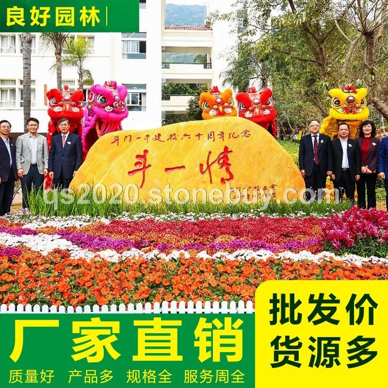 校园纪念石黄蜡石