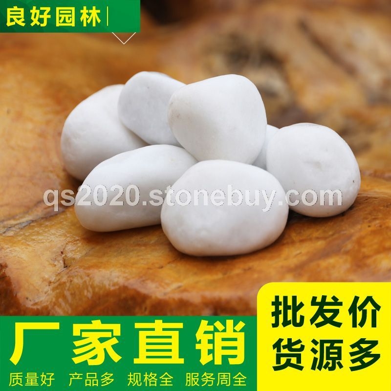 良好園林供應(yīng)機(jī)制白鵝卵石產(chǎn)地直銷