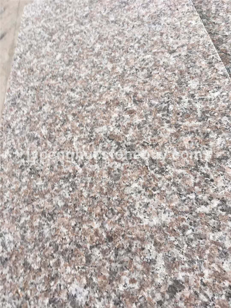 揭陽紅（沙溪紅）廠家