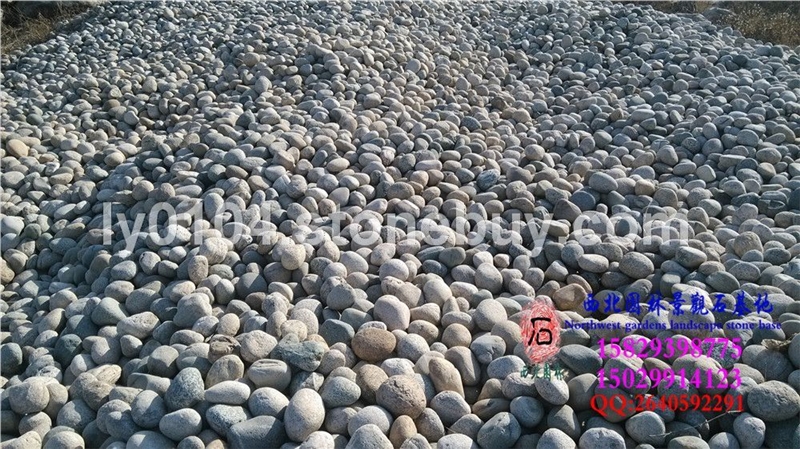 批发景观石、风景石