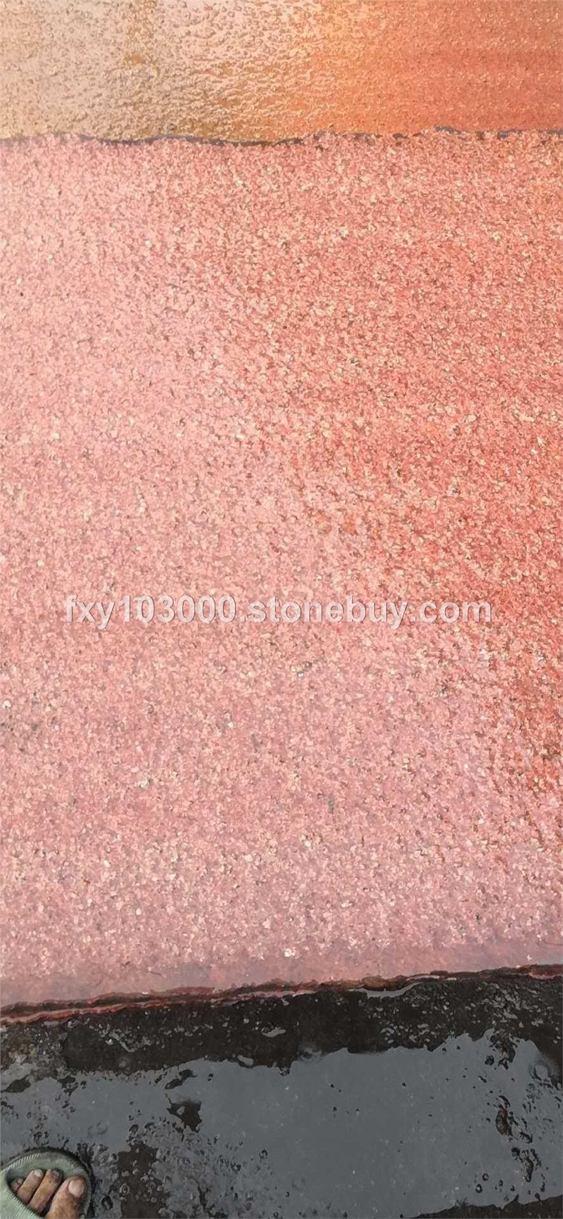 台湾红烧面 印度红烧面