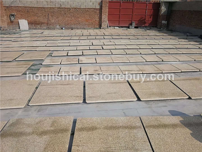 黄金麻价格黄金麻异形