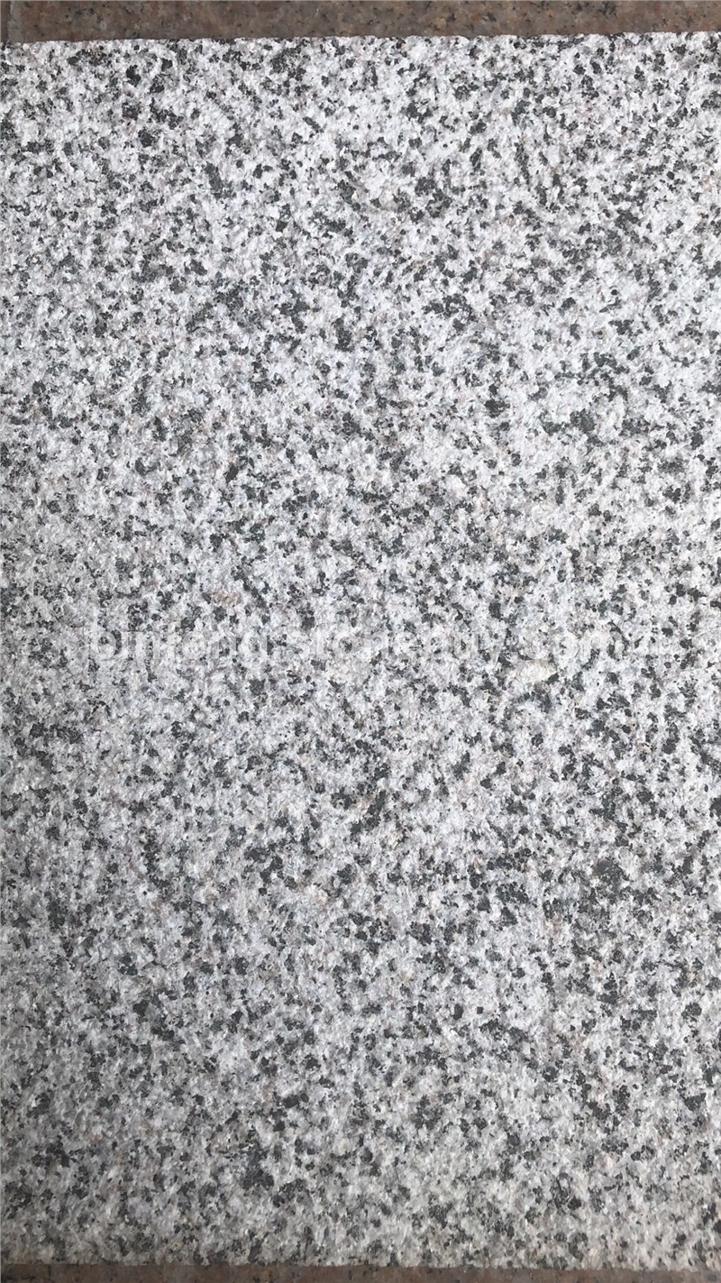 新矿654荔枝面