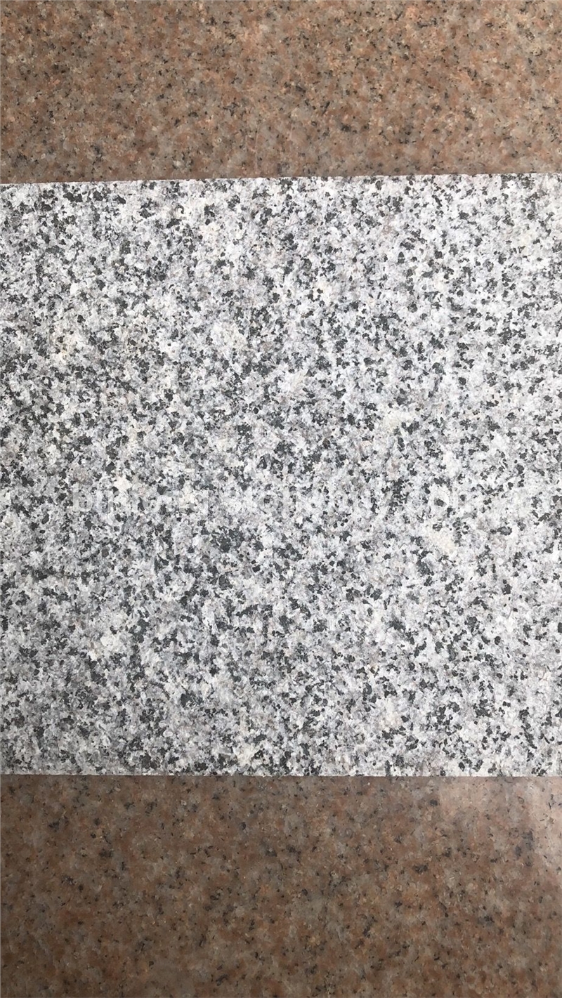 新矿654荔枝面