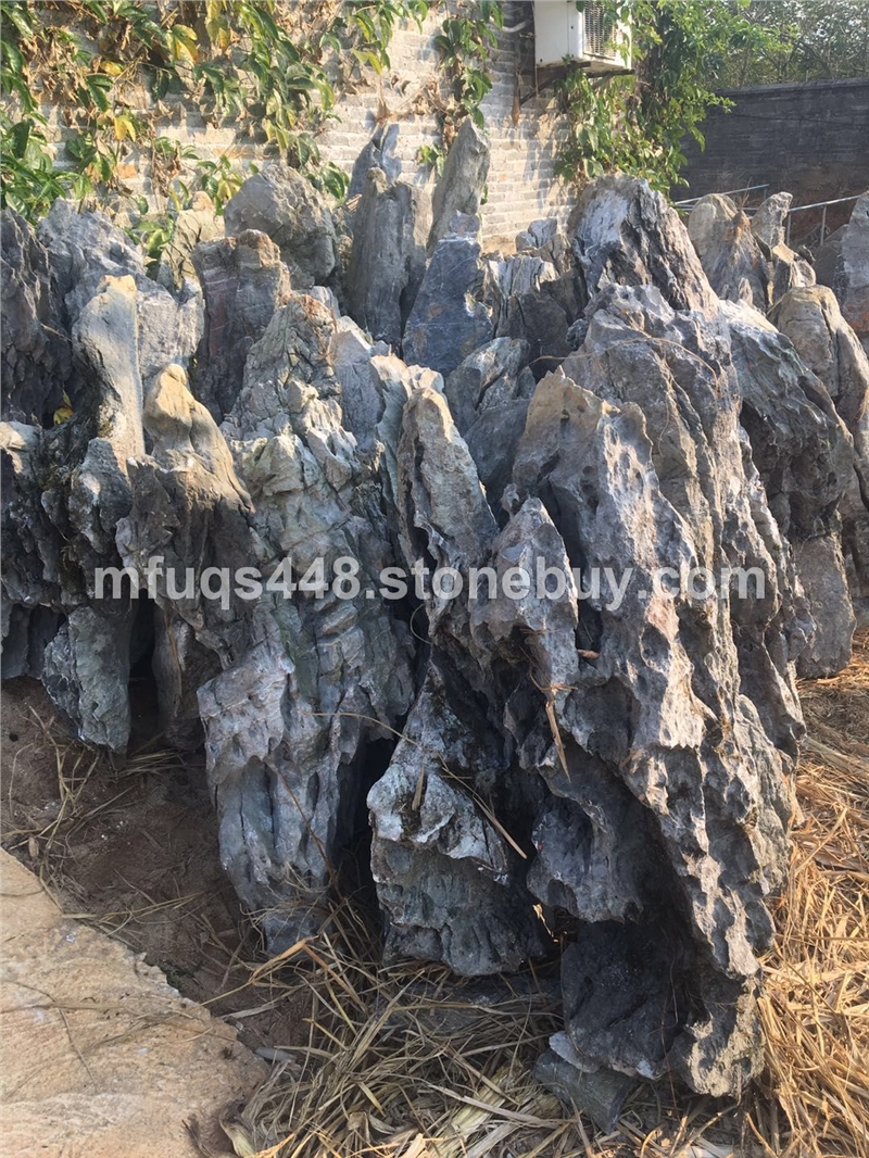 别墅水池景观石青龙石