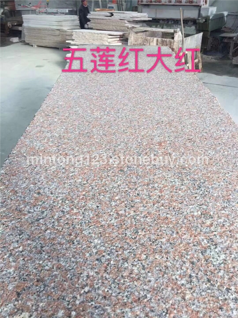 五莲红大红