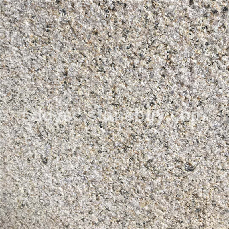 锈石荔枝面黄金麻荔枝面
