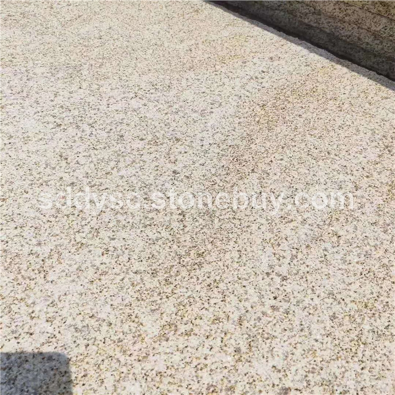 銹石荔枝面銹石廠家直銷(xiāo)