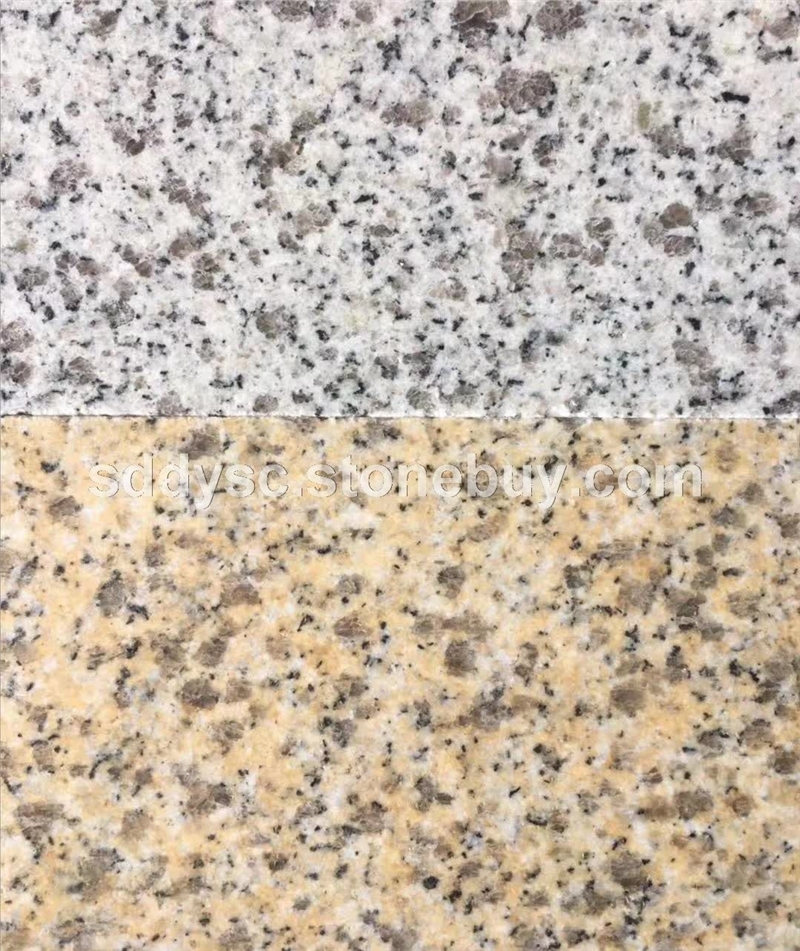 黄金麻浅色黄金麻大花