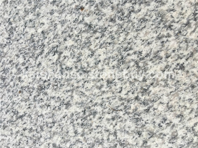 河南芝麻白厂家