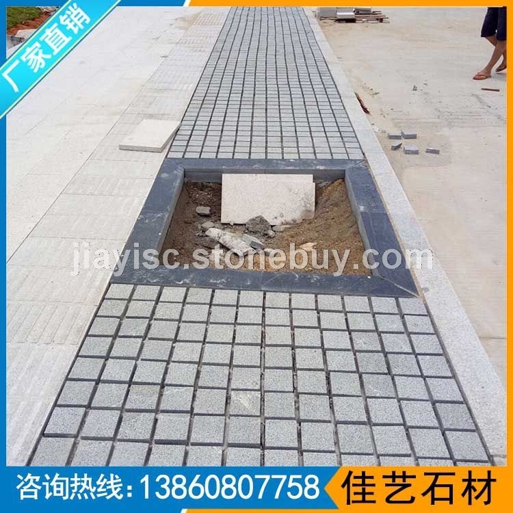 园林景观小方块花围树围工程案例