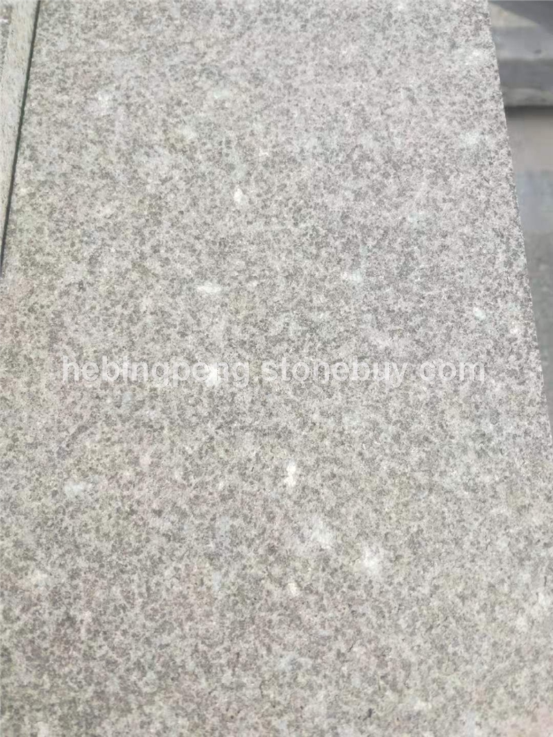 万年青厂家直销万年青火烧面
