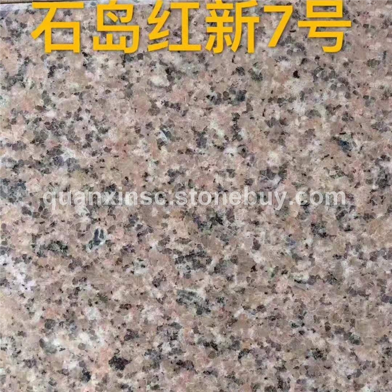 石岛红新7号石岛红7号多少钱一平方