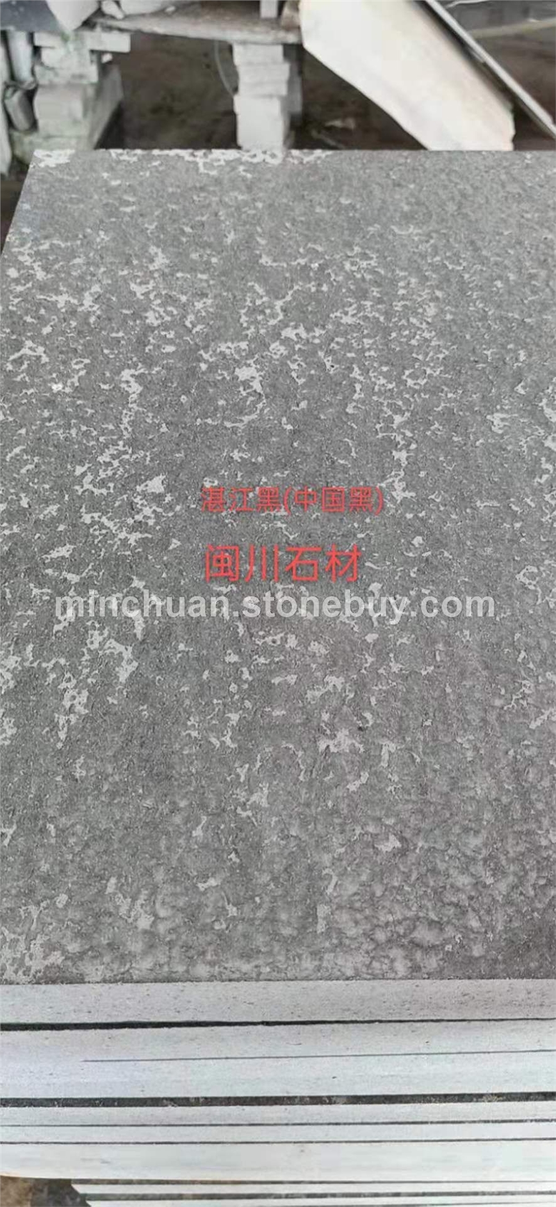 湛江黑（中国黑）