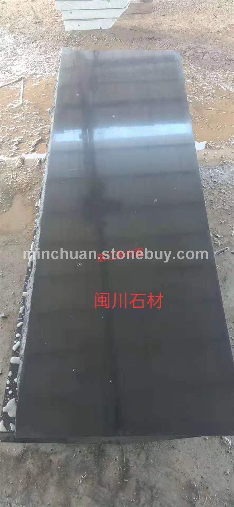 湛江黑光面