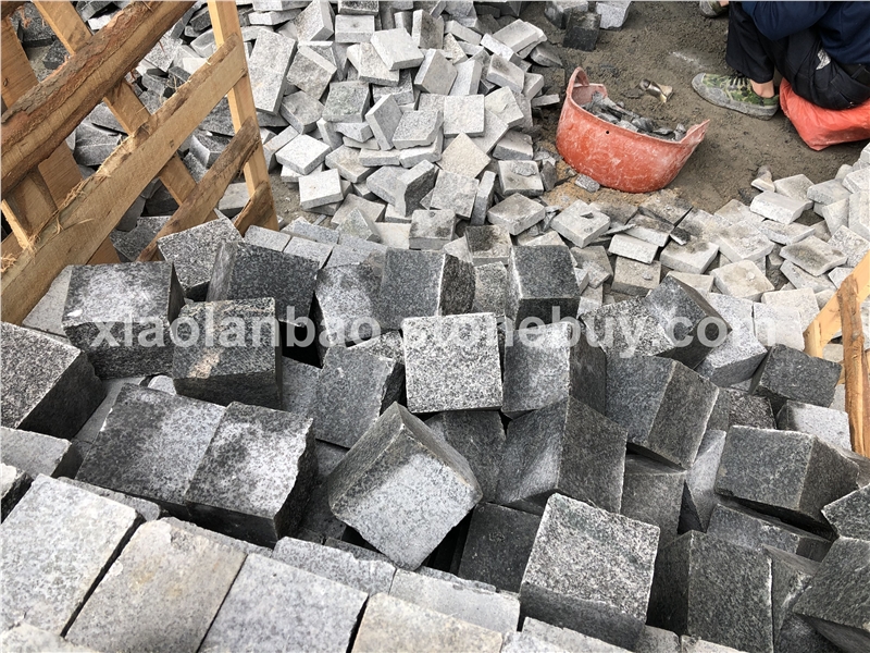 宁德小蓝宝小方块G653马蹄石弹石方块石小料石