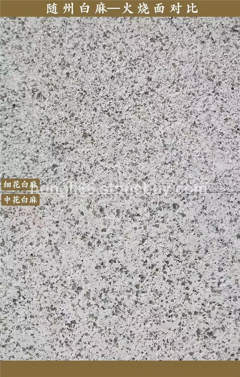 芝麻白細花中花對比圖