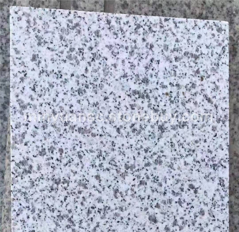 湖北白麻603