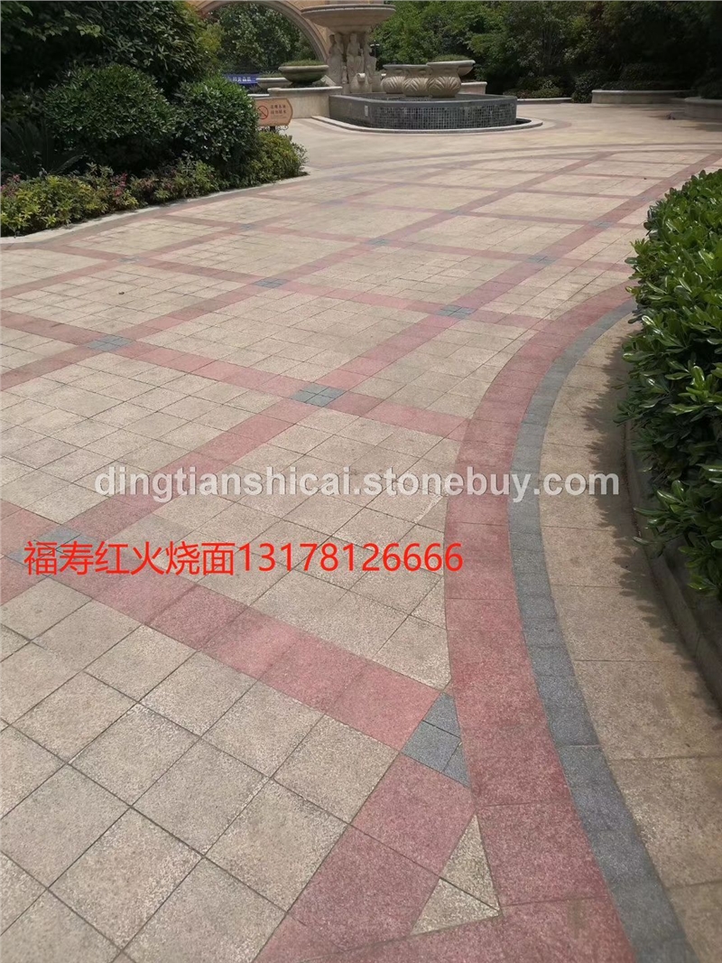 福寿红火烧面 福建青火烧面 福建青荔枝面 福建青烧面 福建青工厂