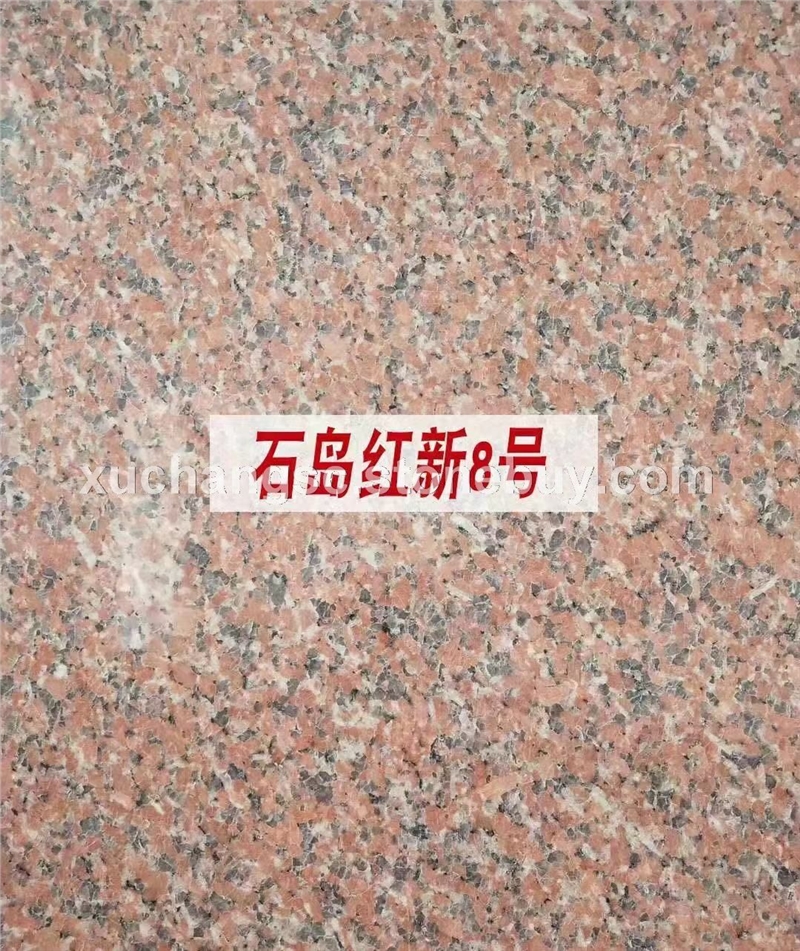 石岛红新8号