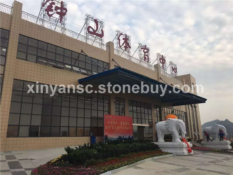 工程案列体育馆