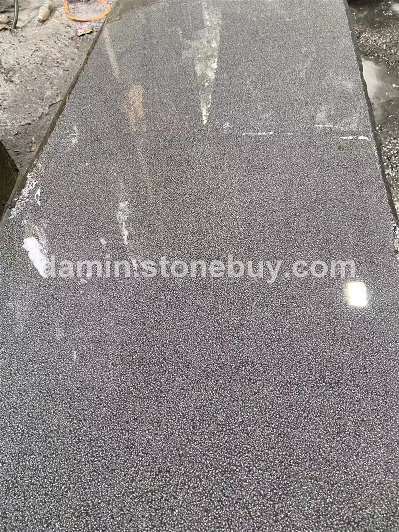 中国黑荔枝面