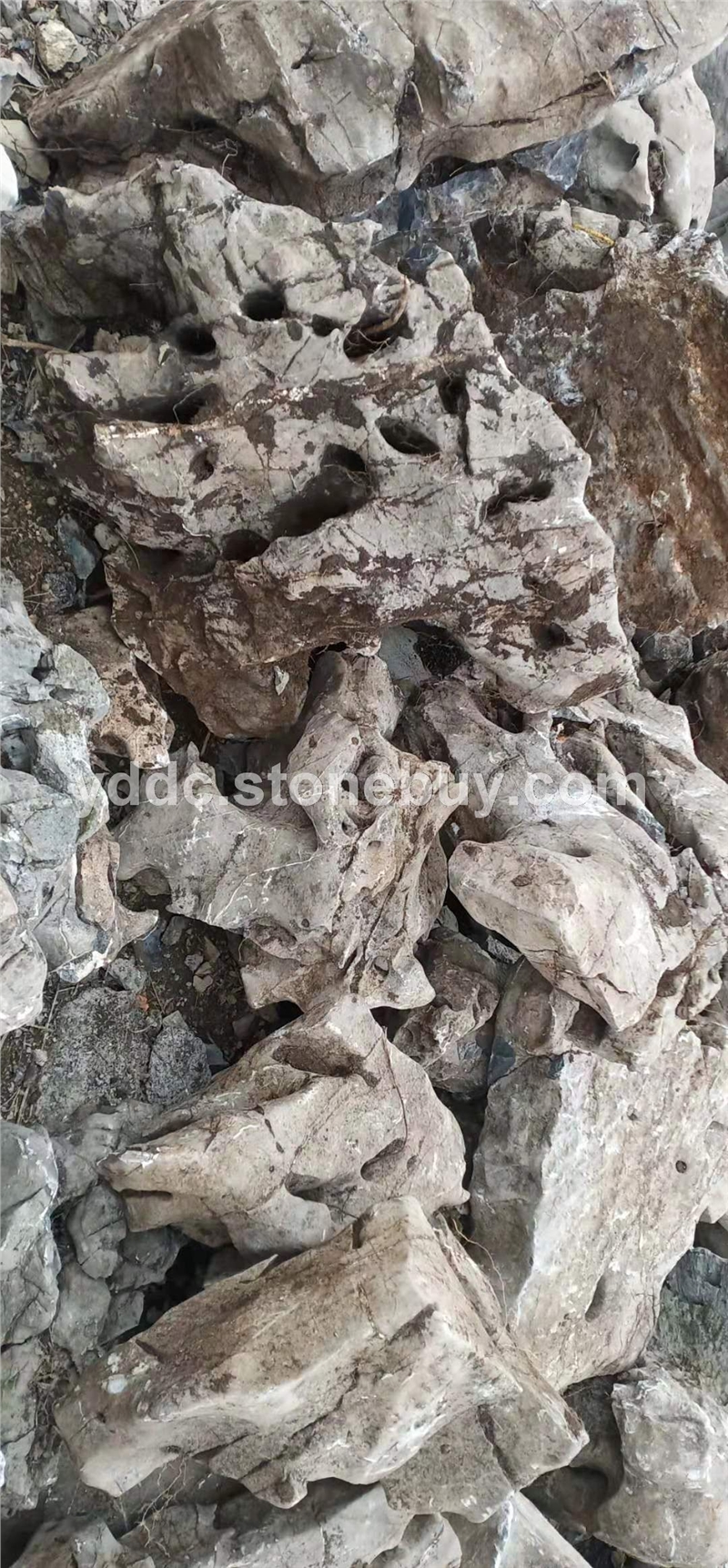白太湖石大中小型假山石欢迎新老客户惠顾