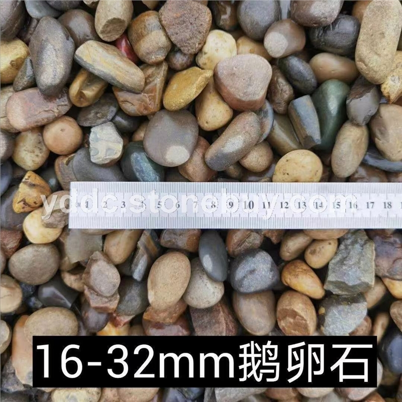 广东变压器鹅卵石价格贴墙面大量水磨石直供公园用