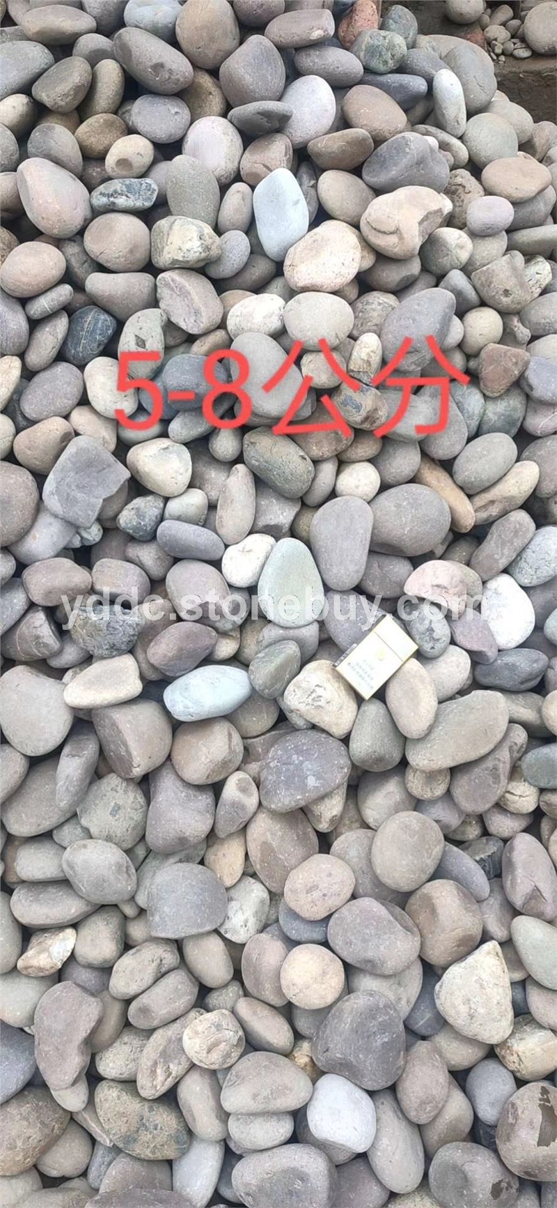 广东变压器鹅卵石价格造景石大量水磨石直供滤油池