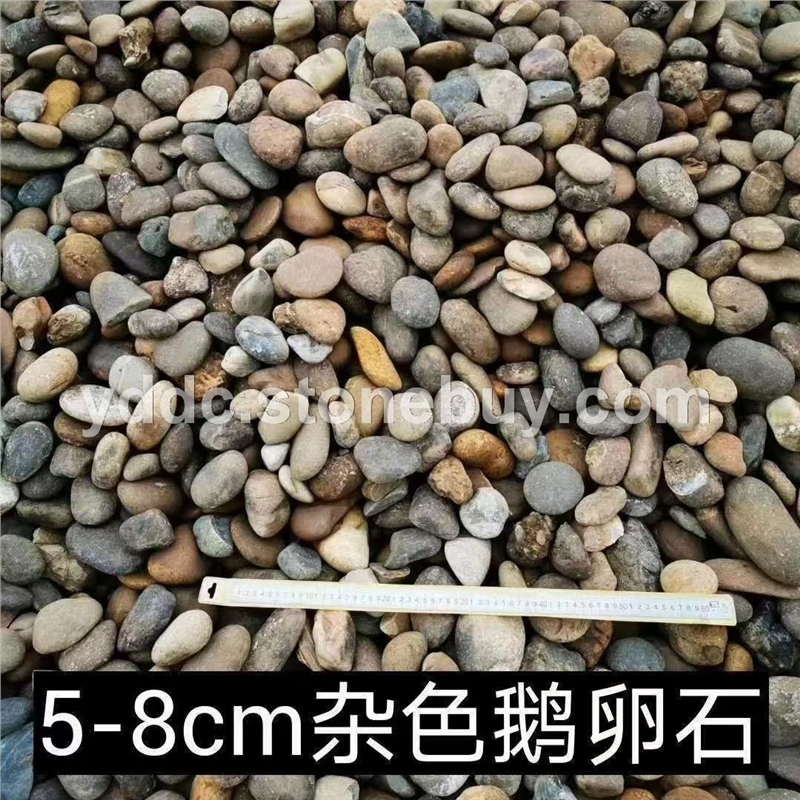 广东变压器鹅卵石价格填海大量水磨石直供污水净化
